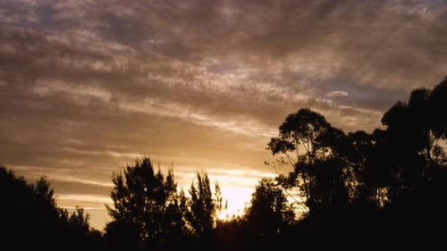 Time Lapse of Sunset with Clouds and Trees