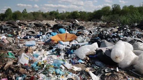 Neglected Environment Pollution Problems Trash Heaps