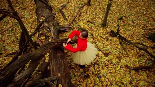 Alone in the Autumn Forest a Woman Dances Ballet