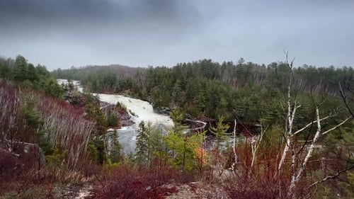 Malerischer Blick auf den Gebirgsfluss, der durch den Wald fließt