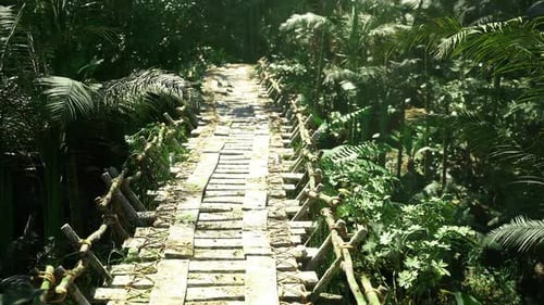 Serene Forest Pathway Peaceful Walk Along Mossy Wooden Footbridge