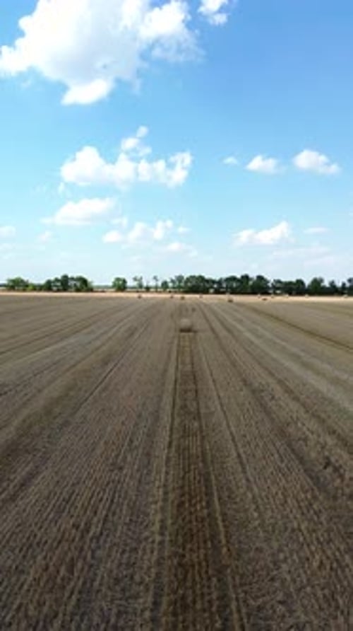 This video offers an expansive aerial perspective of a hay bale field, extending into a distant land