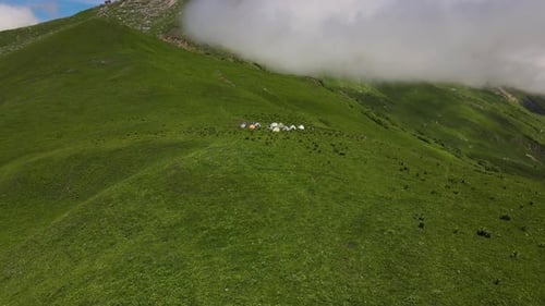 Tempest Camp hoch in den Bergen auf grünen Berghängen