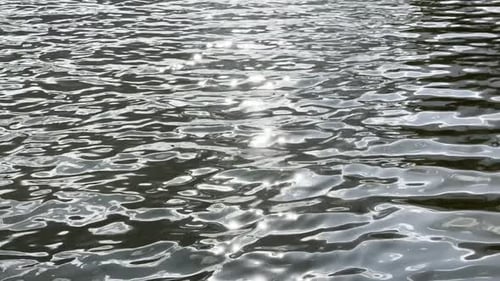 Scenery Surface of Pond Illuminated By Sun at Summertime Calm View on Sea with Small Waves at Sunny