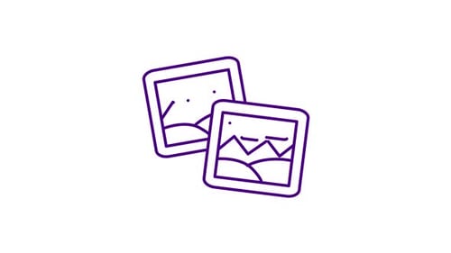 Line Art Photo Frames Reveal Flat Animation