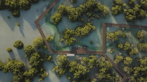 Aerial view of Jubail Mangrove, Abu Dhabi, United Arab Emirates.