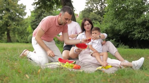 Family Enjoying a Picnic in the Park on Sunny Day