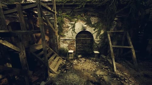 Abandoned Structure Surrounded By Nature Shows Signs of Decay and Neglect