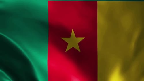 Cameroon National Flag Waving Loop Animation