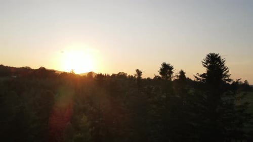 Aerial drone view of amazing orange sunset or sunrise over silhouette old spruce forest