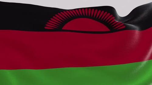 Realistic Malawi Flag Waving Looping Animation