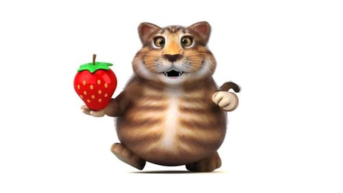 Gato divertido - Animação 3D