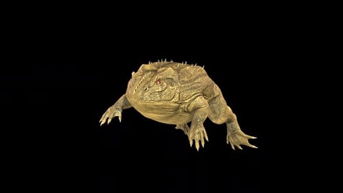 Toad Swim Idle 2