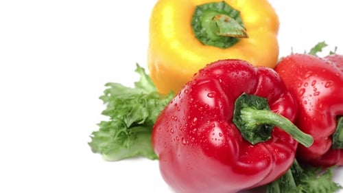 Paprika, süße, lebendige, essbare Pflanze, frischer Bio-Salat, üppige Blätter, abwechselnd, isoliert