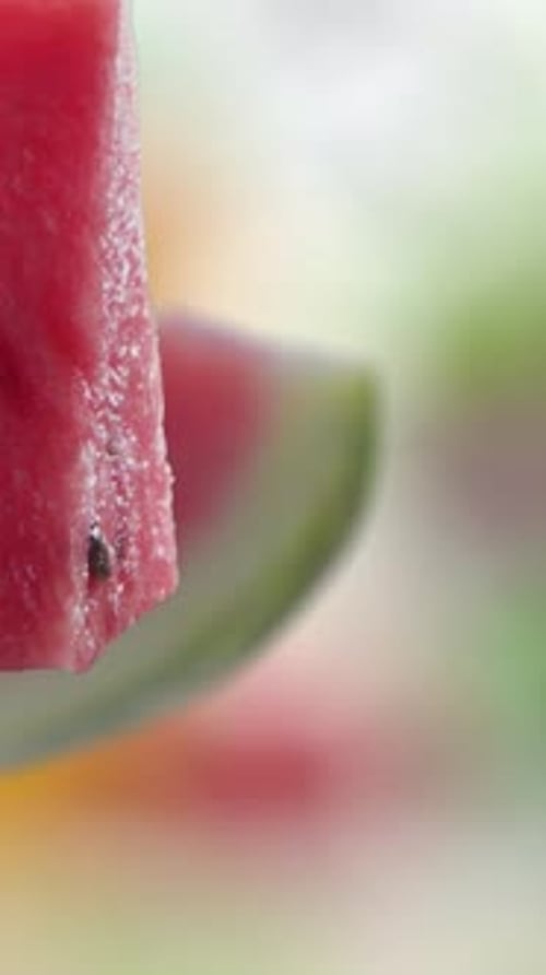 Flying of Watermelon and Slices in Garden Background