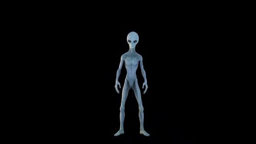 Animated 3D Grey Alien Character Standing With Breathing Loop