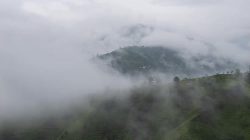 Terrasses de thé et mouvements de nuages