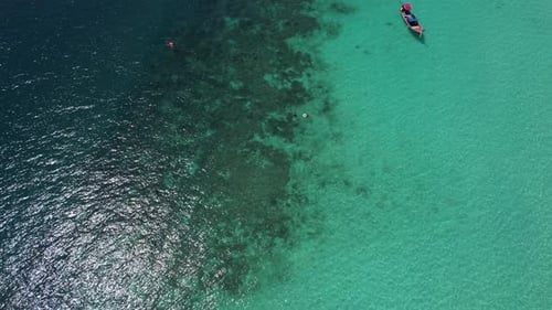 Footage of tourist snorkeling diving and tourism long-tailed boats float on the sea.