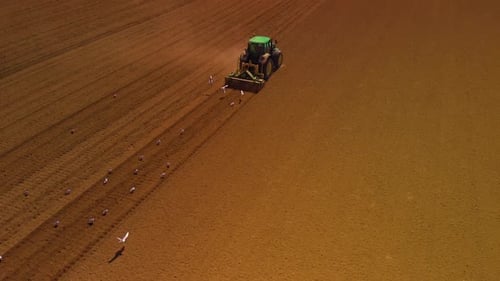 Grüner Traktor pflügt Feld mit Möwen, die hinter der Luft fliegen Follow Shot