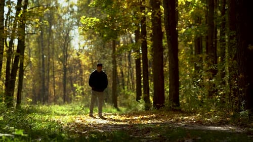A Man Walks in the Autumn Forest and Films It on His Phone