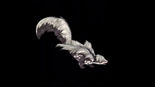 Wild Skunk Run Idle