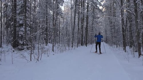 Two skiers skiing in a winter forest that has white fluffy snow during cloudy day. Slow motion move.