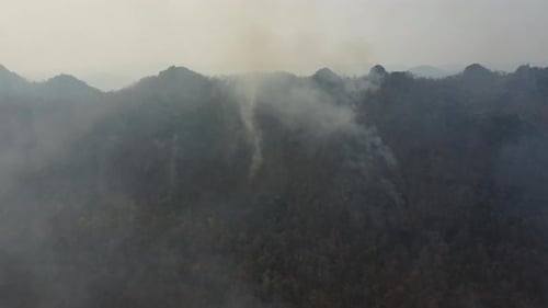 Drohnen-Luftaufnahme eines Lauffeuers, das in einem Waldgebiet brennt, füllt den Himmel mit dunklem Rauch