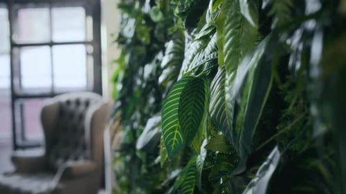 Lush Artificial Green Wall in Modern Workspace