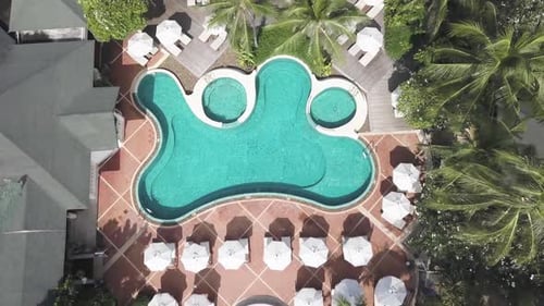 Tropical Resort Pool with White Umbrellas and Palm Trees