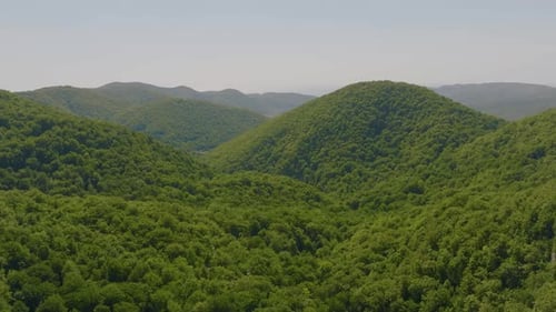 Aerial Footage of a Green Valley
