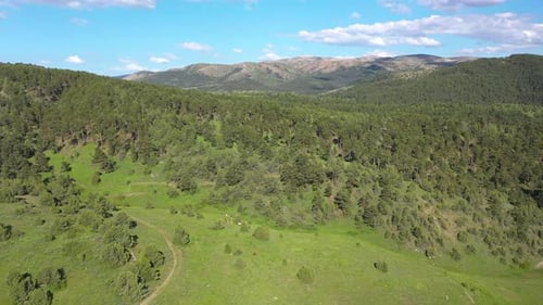 Arbres, collines et plateau vert avec vue aérienne