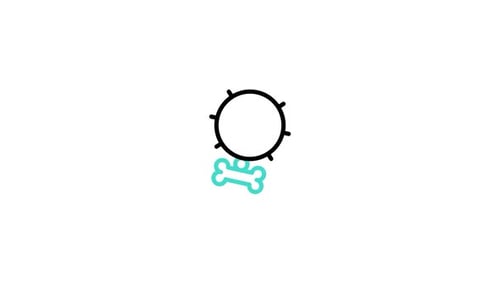 Collar Animated Icon