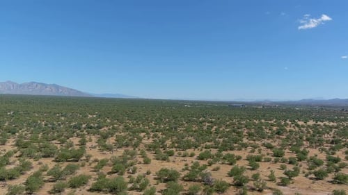 Drone shot of the Sonoran desert with mountains in the distance in Arizona, slow moving aerial shot