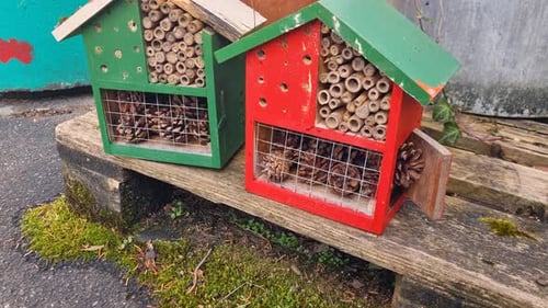 A red and green insect hotel with are standing as a refuge for pollinators in Bern Switzerland