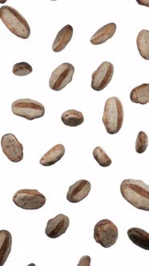 Animated Bread Loaves Falling on White Background