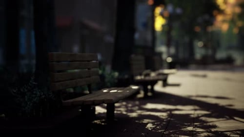 Tranquil Park Path with Wooden Benches and Moving Sunlight Shadows