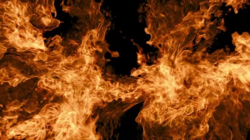 animated 3d fire, abstract burning flame isolated on black background