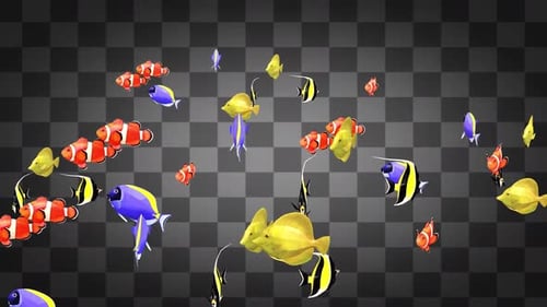 4 Colourful Fish Swim Transparent Background 2