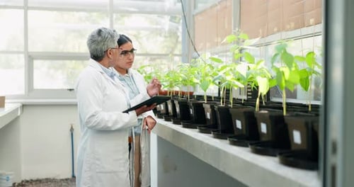 Scientists Examine Plants in Greenhouse Lab