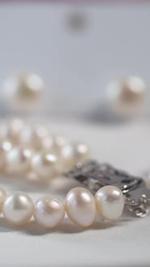 Elegant Pearl Necklace and Earrings Jewelry