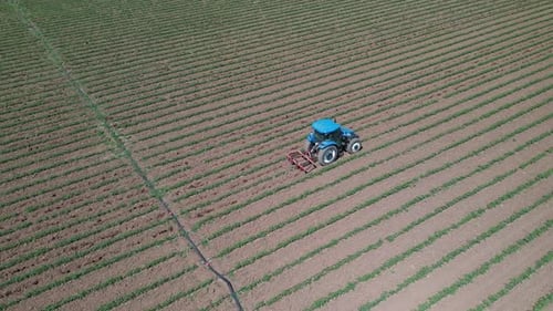 Agriculture field with tractor.