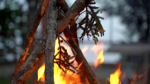Closeup woods burning in the campfire, slow motion