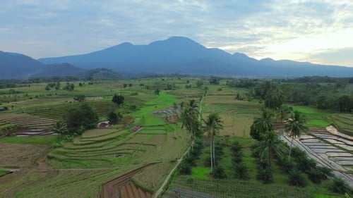 Wunderschöner Blick auf den Morgen, Indonesien, Panoramalandschaft, Reisfelder mit Schönheit, Farbe und natürlichem Himmel.
