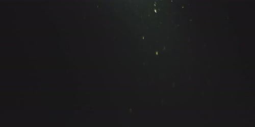 Natural Dust Particles