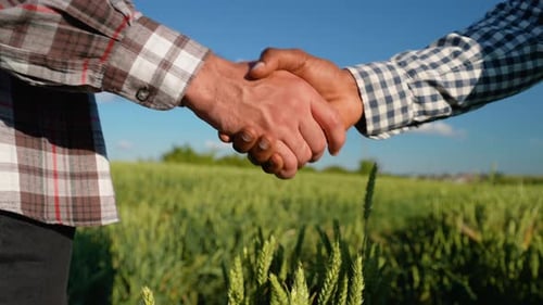 Handshake Two Farmer on the Background of a Wheat Field at Sunset