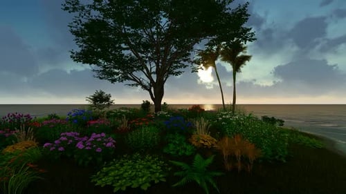 Coucher de soleil sur mer et nature