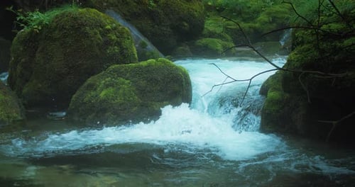Dampf steigt von der Oberfläche eines schnell fließenden Flusses in einem Bergwald auf. Bach mit klarem Wasser f