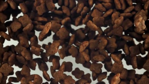 Dog Food Flies Up and Down Filmed on a Highspeed Camera at 1000 Fps
