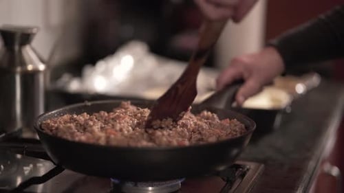 Adult Woman Hands Cooking Fajitas Mix in Spanish Kitchen