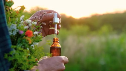 Man with Medicinal Herbal Extracts in His Hands Selective Focus